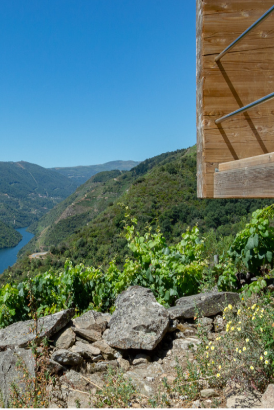 Mirador de Soutochao rodeado de viñedos en Sober.