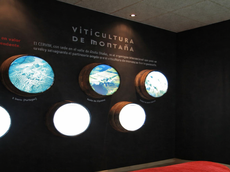 Paneles interactivos en el Centro del Vino de Monforte.