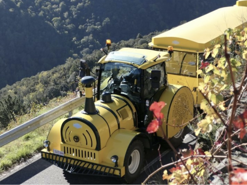 Tren turístico Aba Sacra en una carretera de Sober.