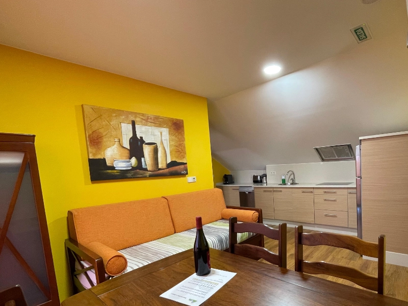 Salón de diseño contemporáneo con cocina integrada en el exclusivo Apartamento Santiorxo en la Ribeira Sacra.