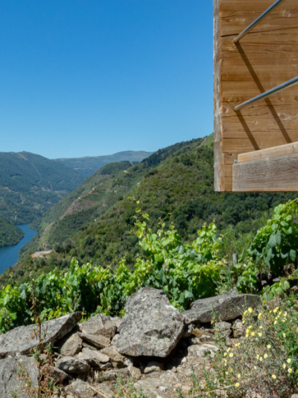 Mirador de Soutochao rodeado de viñedos en Sober.