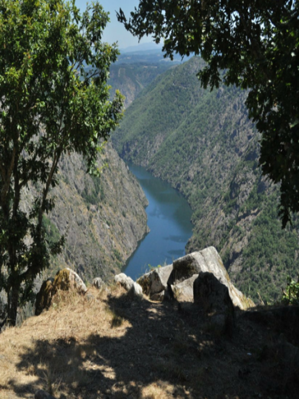 Impresionante meandro del río Sil desde el Mirador de Vilouxe.