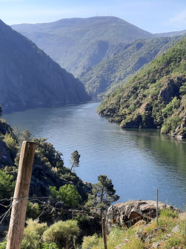 Vistas del Cañón del Sil desde el Mirador do Xabrega.