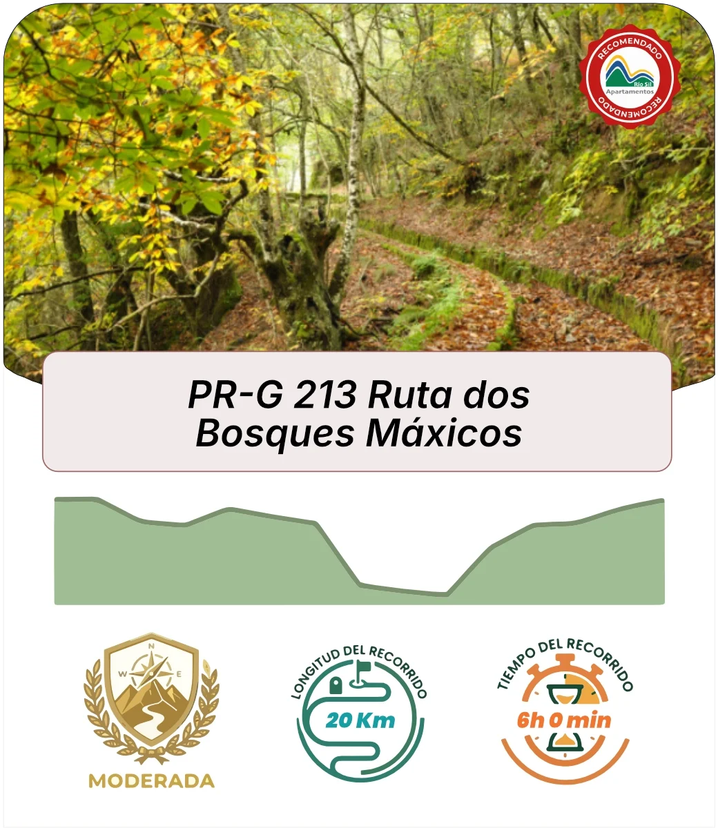 Bosques Máxicos