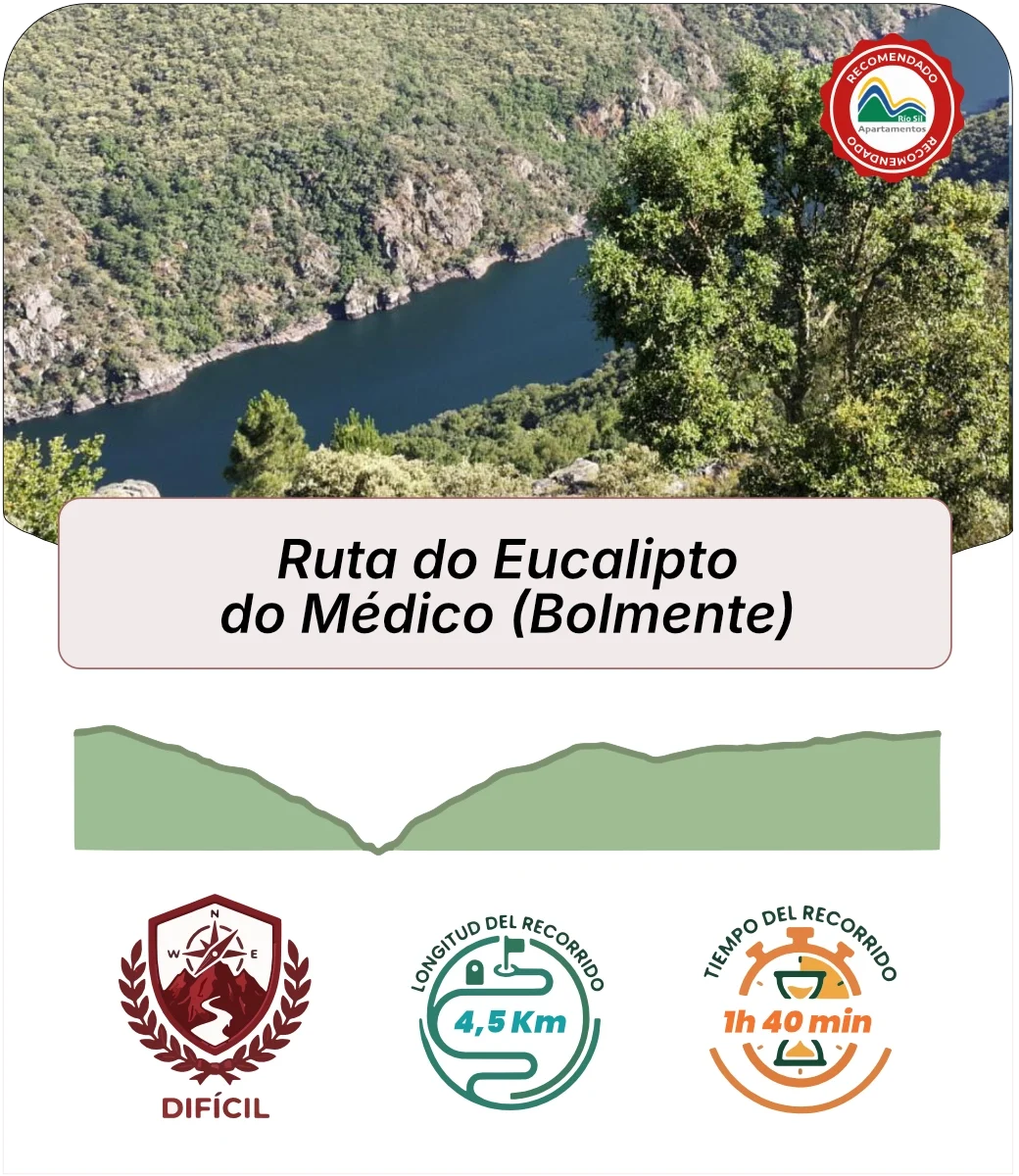 Eucalipto médico